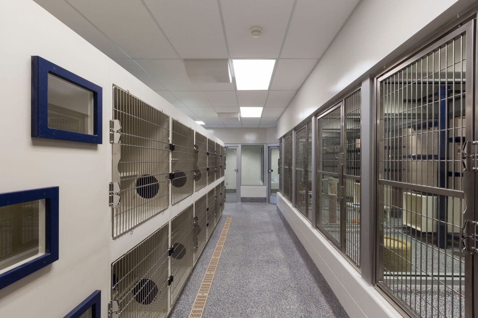 Dog & Pet Kennel Flooring